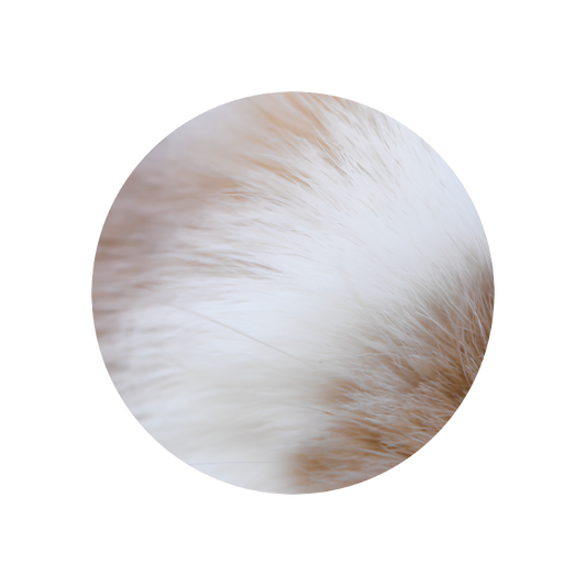 Aldron®