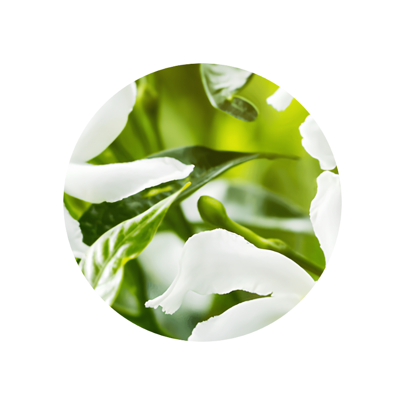 Aurantiol™ Pure 50% (ethanol)