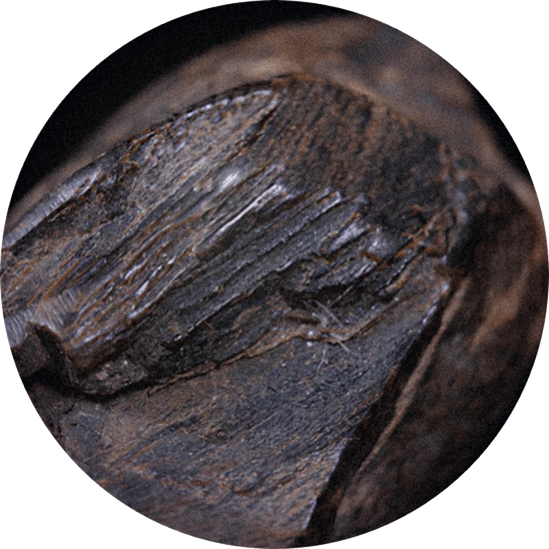 Black Agar Givco® 215/2