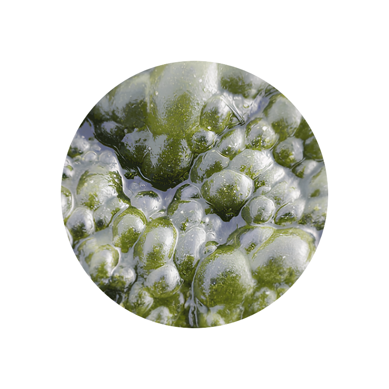 Calone® (powder)