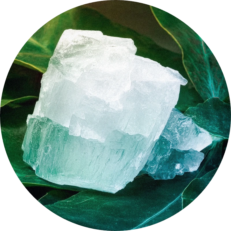 Camphor