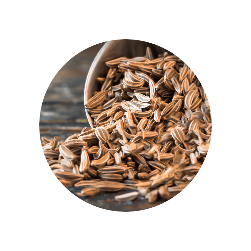 Caraway Oil