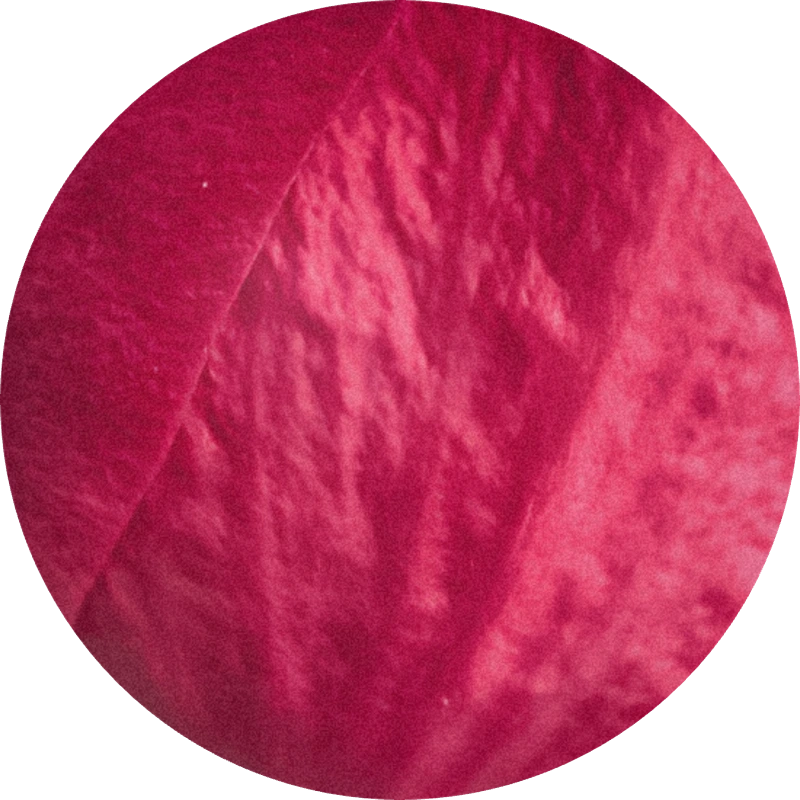 Citronellol 950