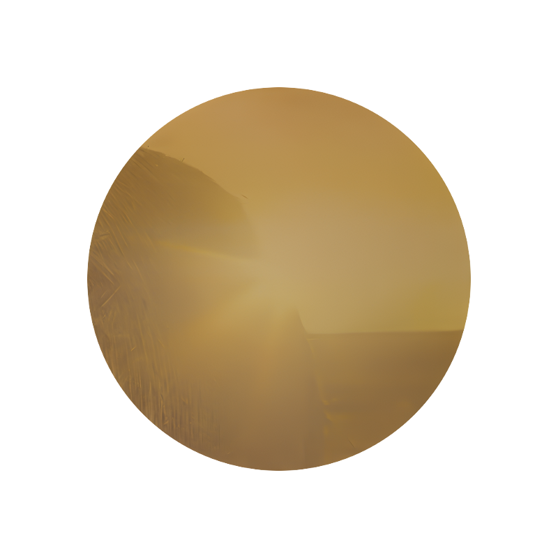 Dimethyl Hydroquinone (crystals)