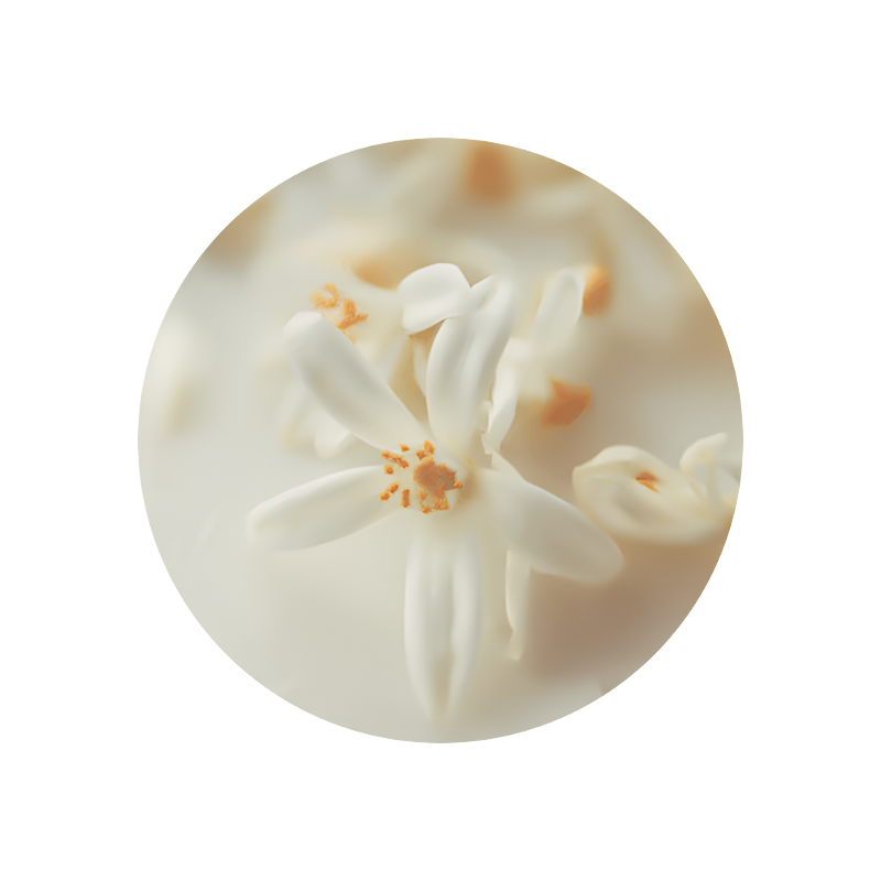 Lactone of Cis Jasmone