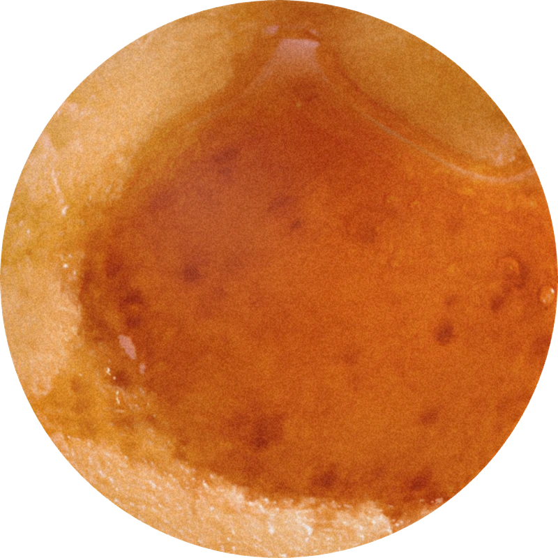 Maple Lactone (powder)