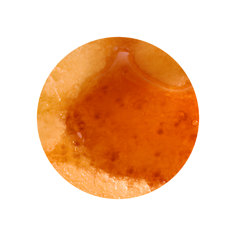 Maple Lactone (powder)