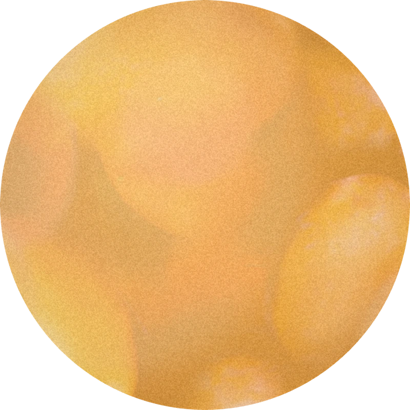 Mirabelle 2000 F