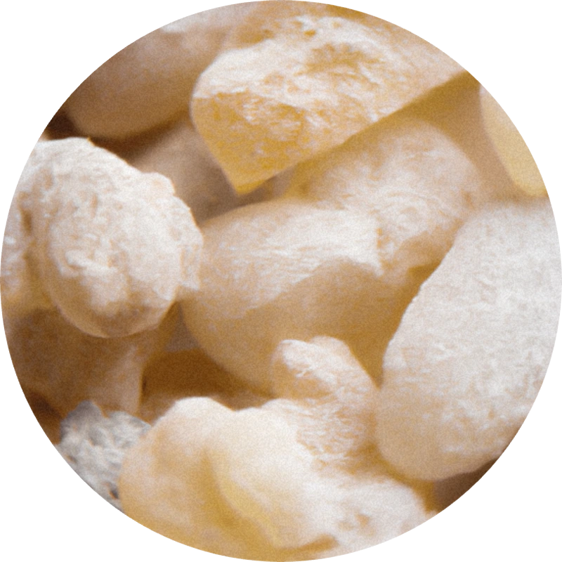 Olibanum Oil