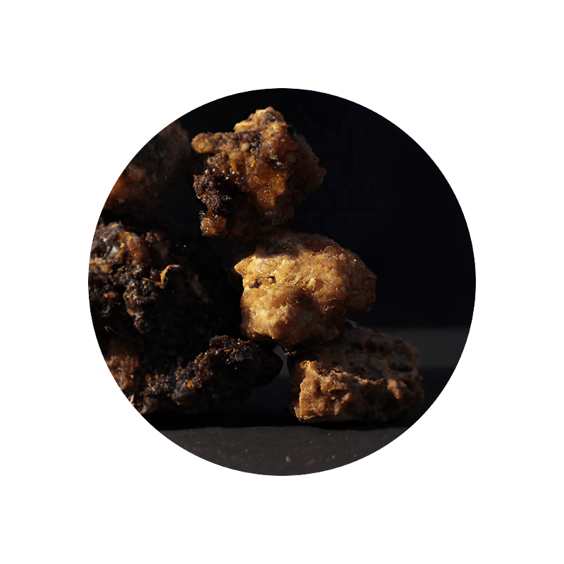 Opoponax Absolute 50% (TEC)