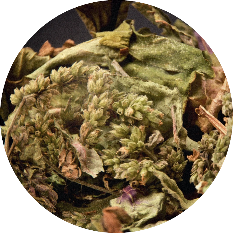 Patchouli Crude Organic (Madagascar)