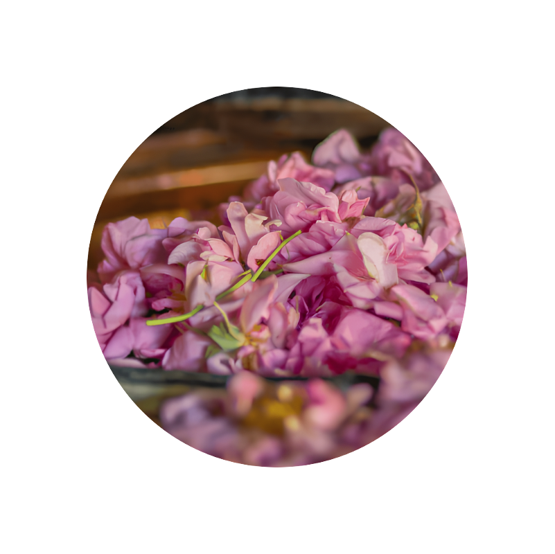 Rose Ultimate Extract™