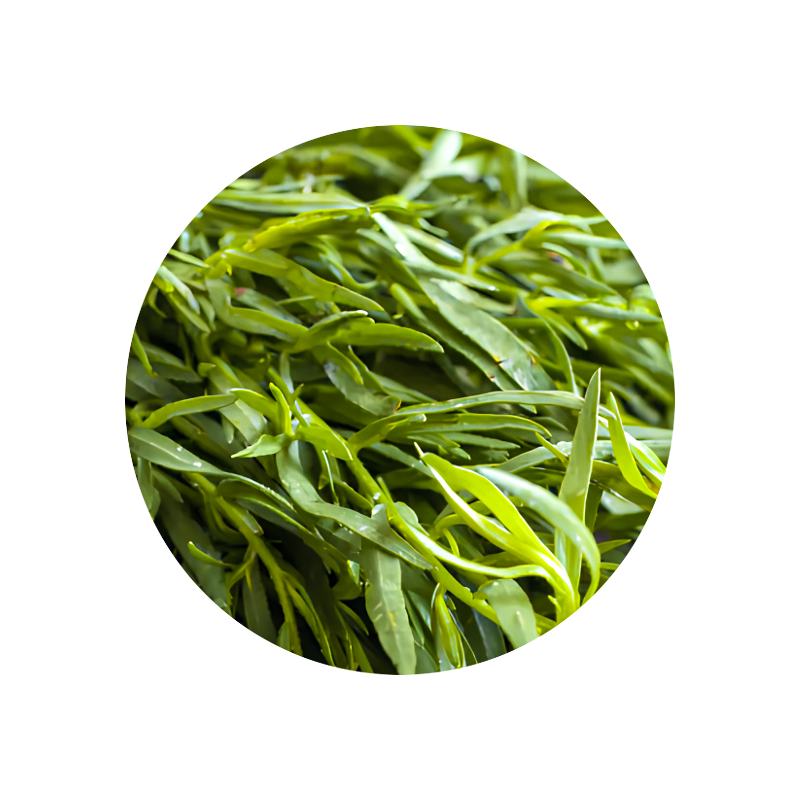 Tarragon Oil