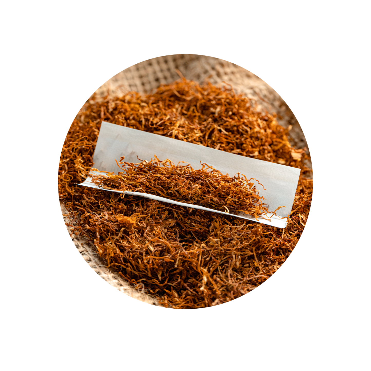 Tobacco Absolute MD