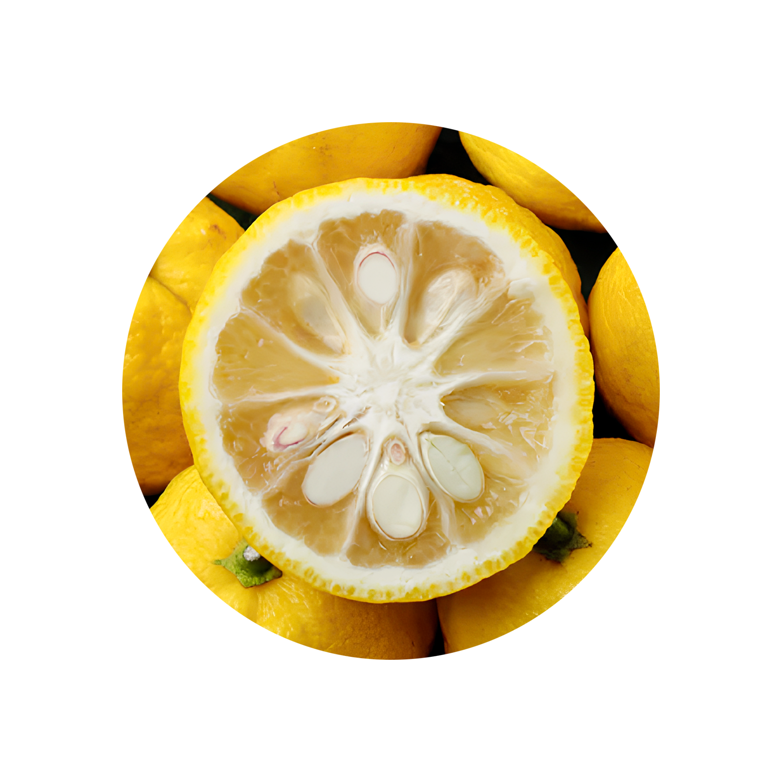 Yuzu Phase Oil – perfumiarz.com Yuzu Phase Oil – perfumiarz.com