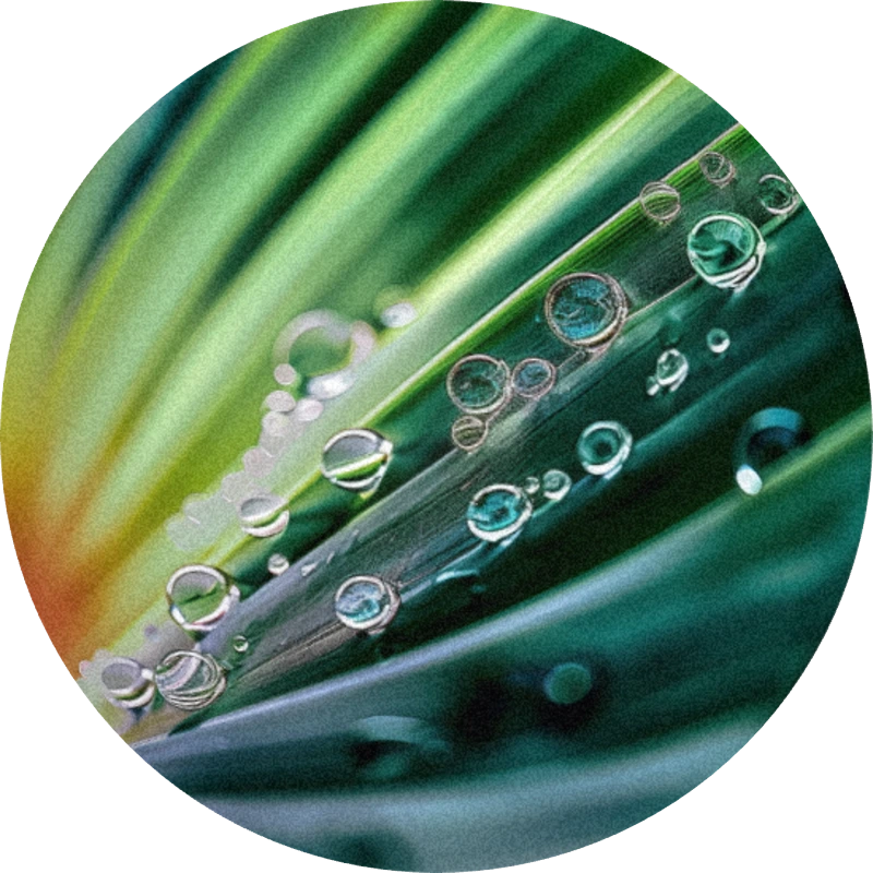 Vetival®
