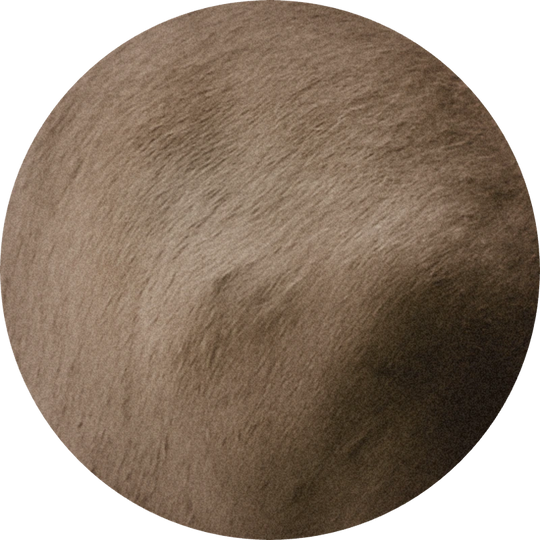 Animalis 1745-03