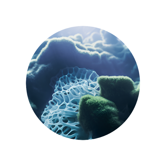 Aquaflora