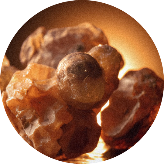 Benzoin Oliffac 63 0613