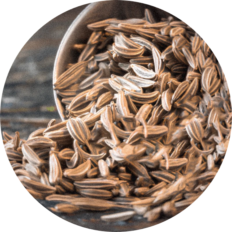 Caraway Oil