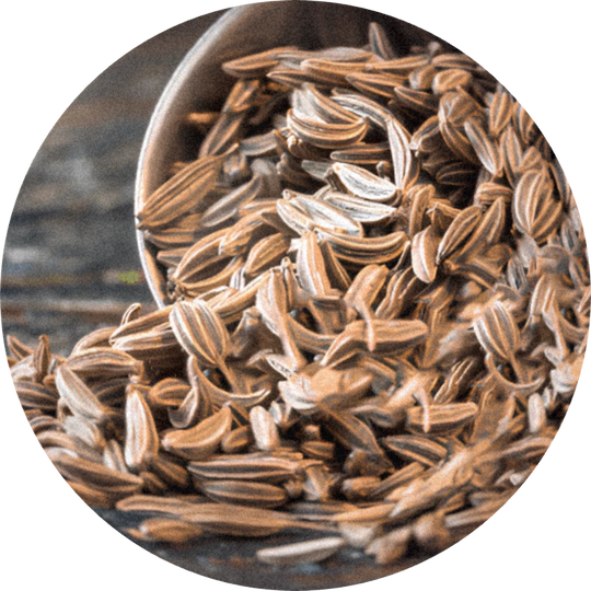 Caraway Oil