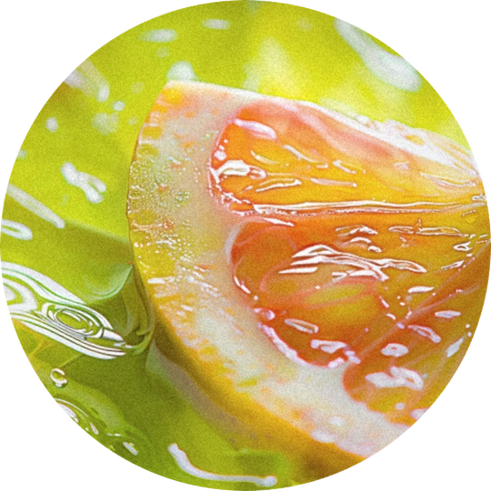 Corps Pamplemousse 1% (TEC)