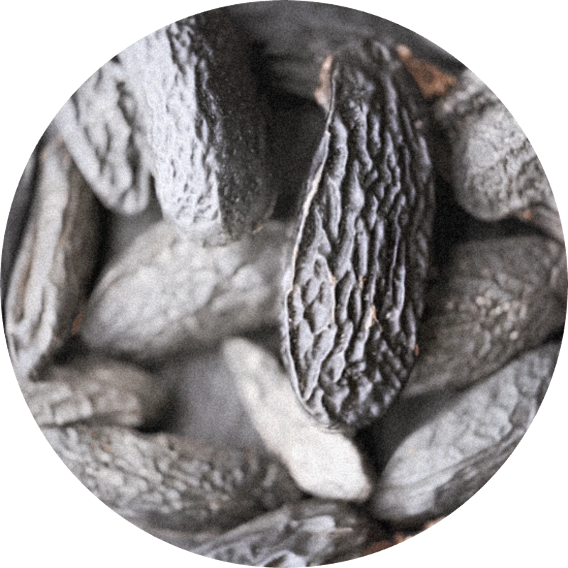 Coumarin (crystals)