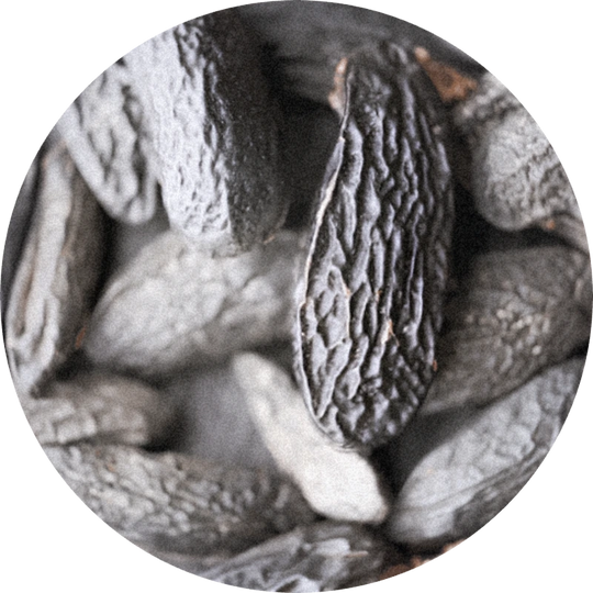 Coumarin (crystals)
