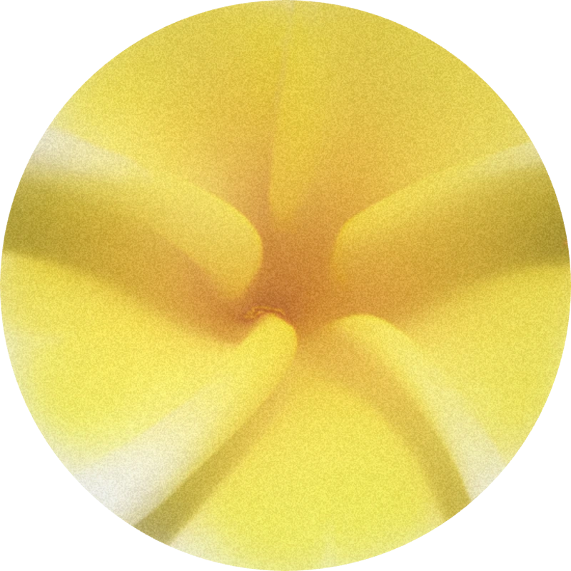 Cremefleur