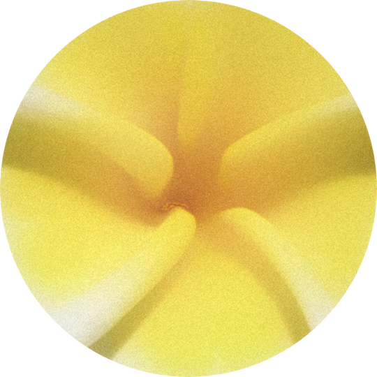 Cremefleur