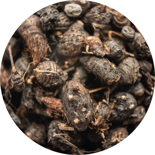 Cypriol Oil