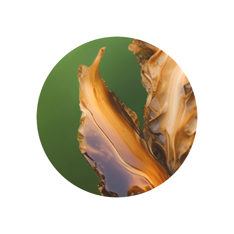 Gamma Terpinene Perfumiarz gamma-terpinene-perfumiarz