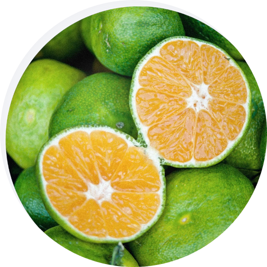 Green Mandarine Oil Cold Pressed
