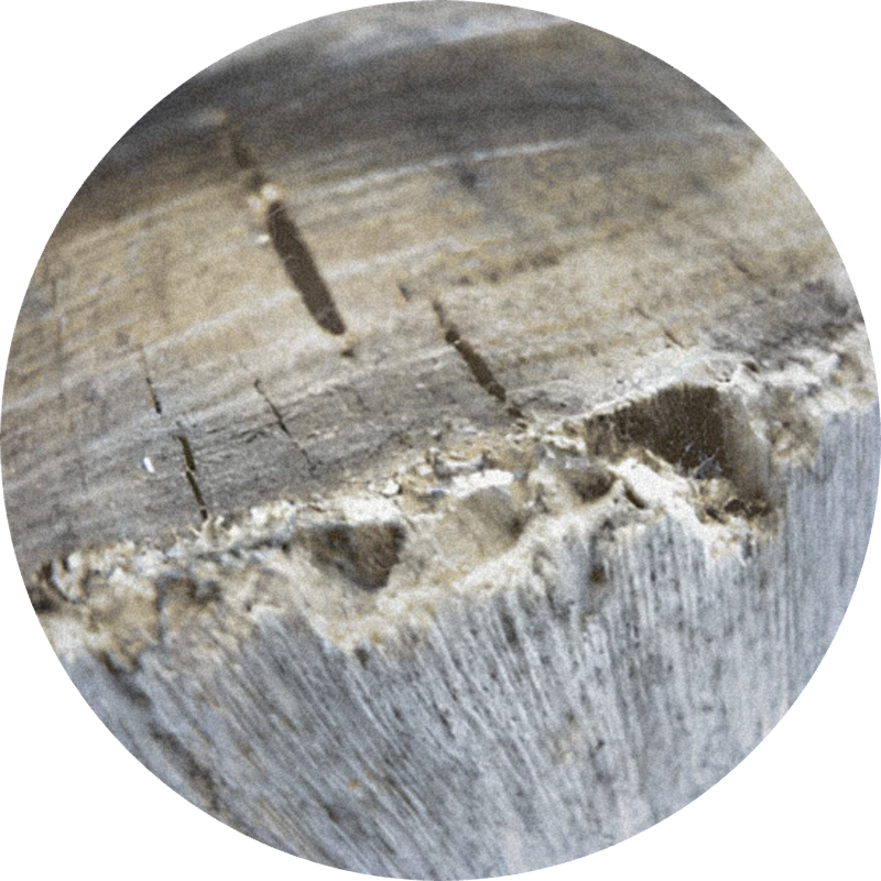 Guaiacwood Oil Crude 50% (ethanol)