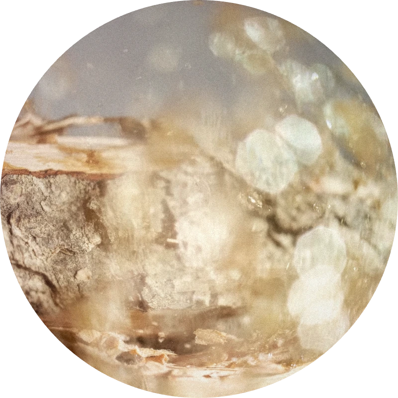 Isolongifolene