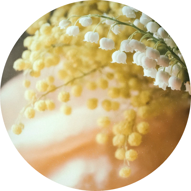 Josenol®