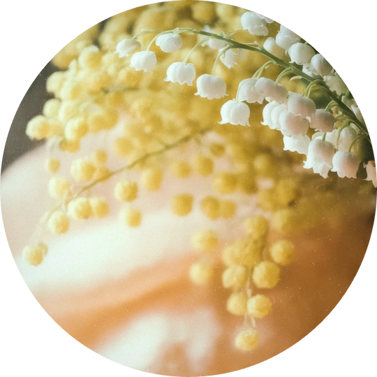 Josenol®