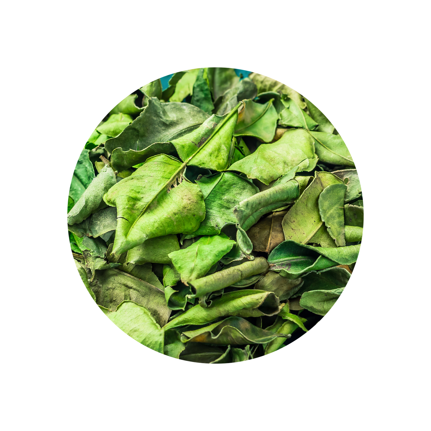 Kaffir Lime Leaves Oil