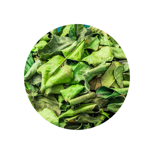 Kaffir Lime Leaves Oil