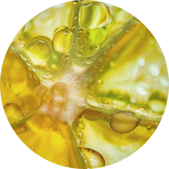 Lime Oxide