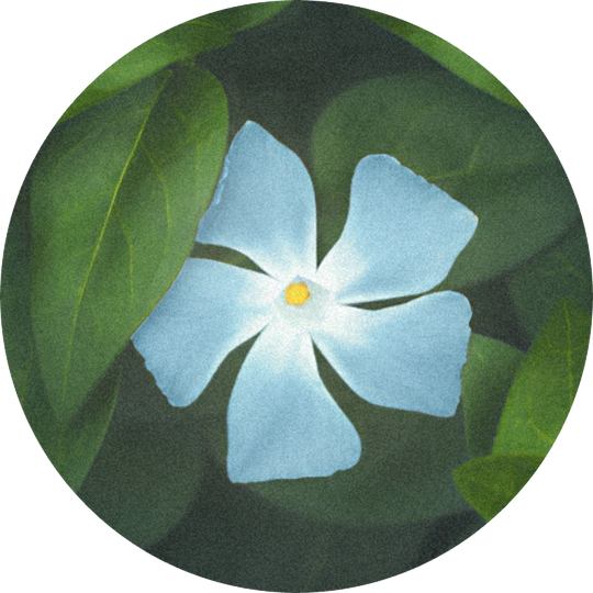 Lyral®