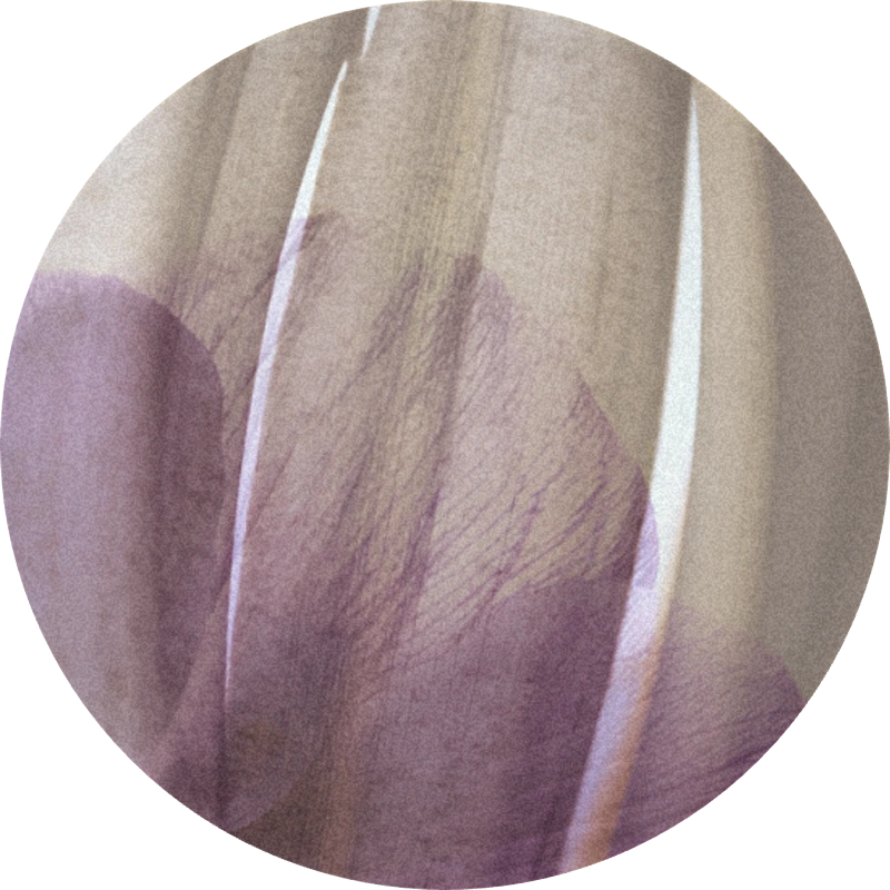 Mysore Acetate