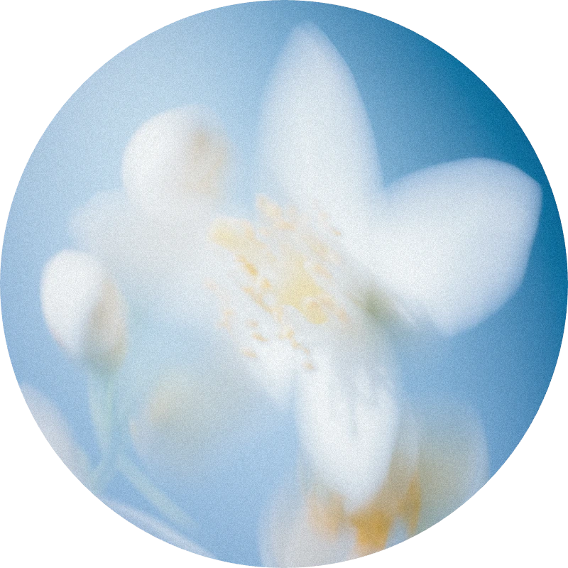 Nerolidol