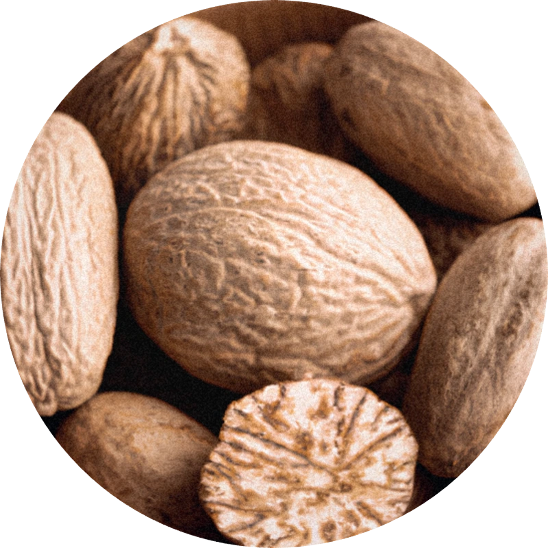 Nutmeg Oil SLC