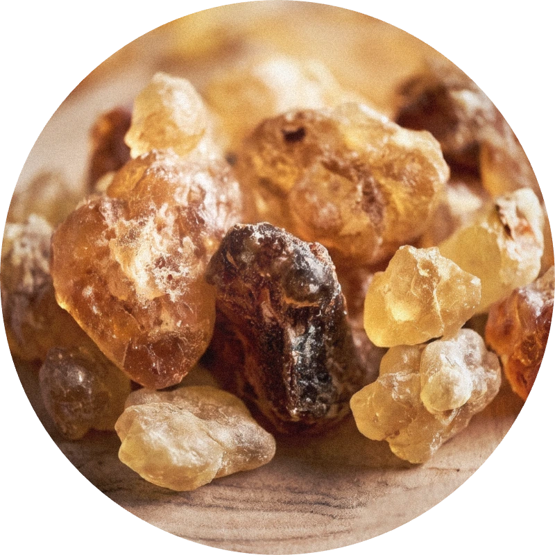 Olibanum Coeur