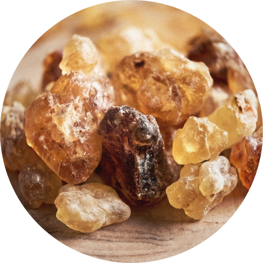 Olibanum Coeur
