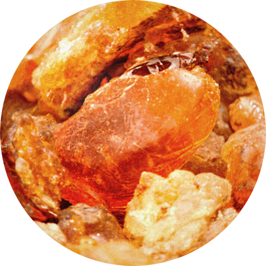Olibanum Resinoide Vulcain 50% (IPM)