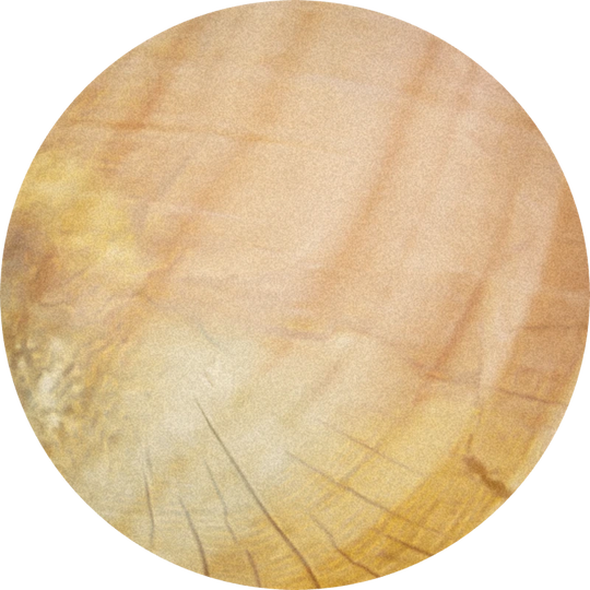 Polysantol®