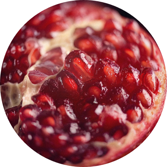 Pomegranate Bold Base