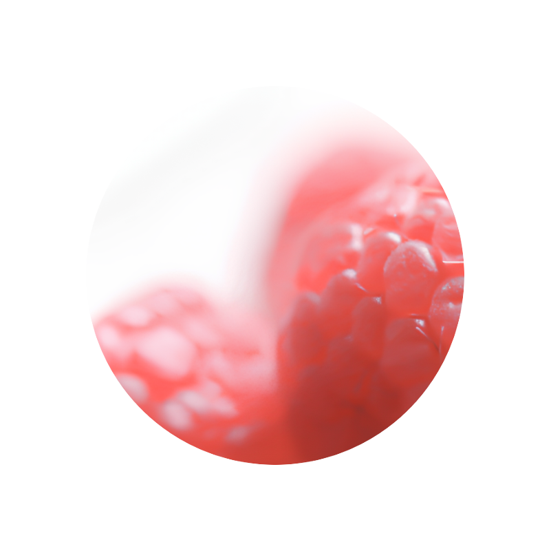 Raspberry Ketone (powder)